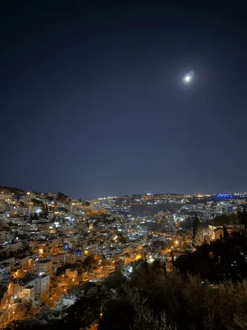 City of David